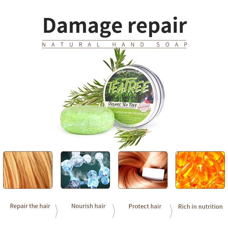 Tea Tree Essential Oil Shampoo Bar for Oil Control