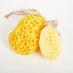 Natural Sea Wool Exfoliating Shower Sponge