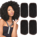Afro Kinky Bulk Human Hair for Braiding & Dreadlocks