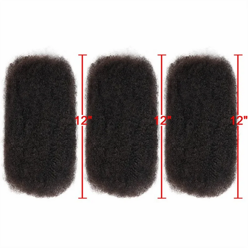 Afro Kinky Bulk Human Hair for Braiding & Dreadlocks