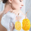 Natural Sea Wool Exfoliating Shower Sponge